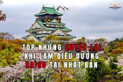 Top Những Quyền Lợi Khi Làm Điều Dưỡng Kaigo Tại Nhật Bản: Cơ Hội Vàng Không Nên Bỏ Lỡ