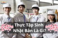 Thực Tập Sinh Nhật Bản Là Gì? Tất Cả Những Thông Tin Cần Biết Về Chương Trình Thực Tập Sinh Nhật Bản