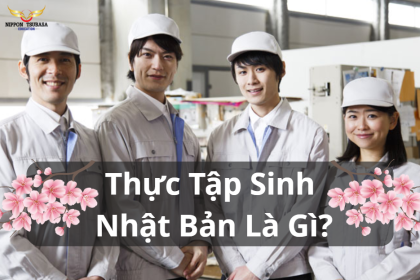 Thực Tập Sinh Nhật Bản Là Gì? Tất Cả Những Thông Tin Cần Biết Về Chương Trình Thực Tập Sinh Nhật Bản