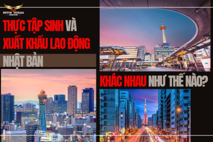 Thực Tập Sinh Và Xuất Khẩu Lao Động Nhật Bản Khác Nhau Như Thế Nào?
