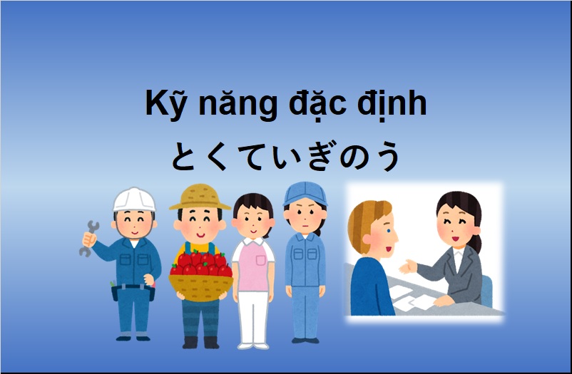 Tổ chức kỳ thi kỹ năng đặc định tại Việt Nam