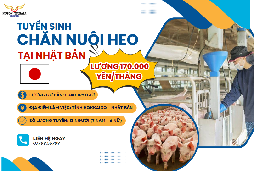 TUYỂN 20 THỰC TẬP SINH CHĂN NUÔI HEO TẠI NHẬT – LƯƠNG 170.000 YÊN/THÁNG – KHÔNG CẦN KINH NGHIỆM